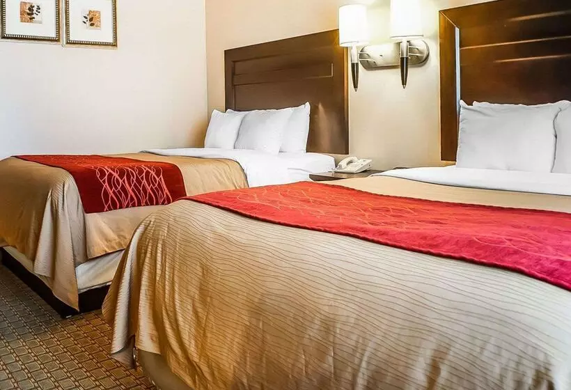 酒店 Quality Inn & Suites