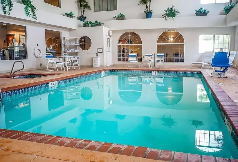 酒店 Quality Inn & Suites