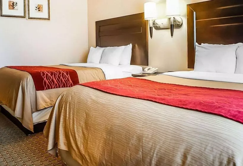 酒店 Quality Inn & Suites