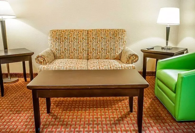 酒店 Quality Inn & Suites