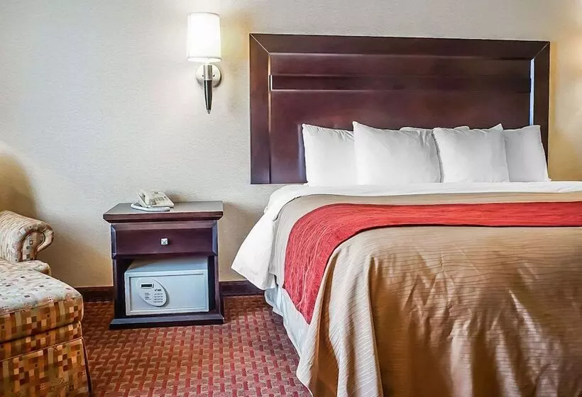 酒店 Quality Inn & Suites