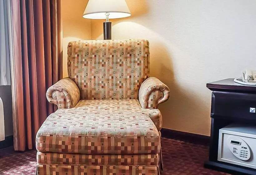酒店 Quality Inn & Suites