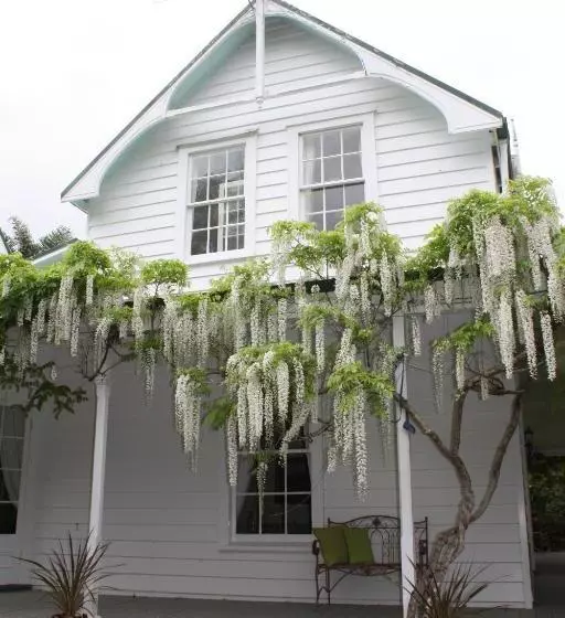 Aamiaismajoitus (B&B) Paheke Boutique Lodge