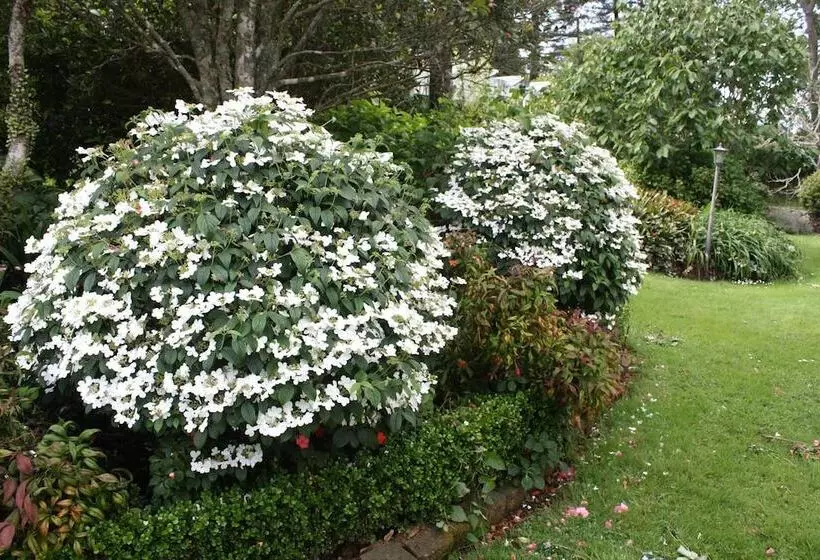 Aamiaismajoitus (B&B) Paheke Boutique Lodge