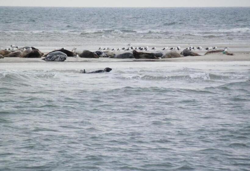 Jugendherberge Westerland