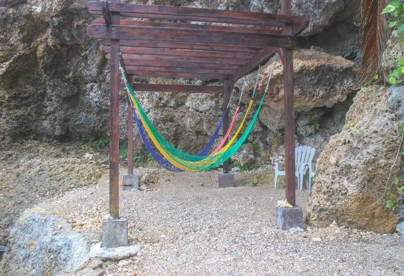 پانسیون Afibaviewbeachfrontproperty