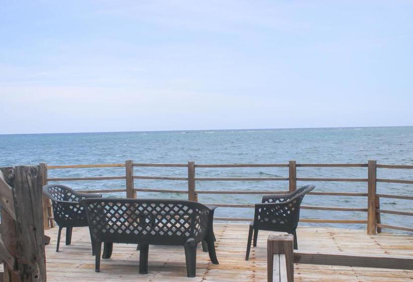 پانسیون Afibaviewbeachfrontproperty