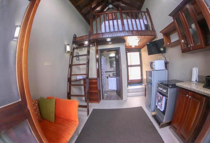 پانسیون Afibaviewbeachfrontproperty