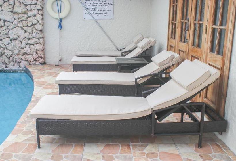 پانسیون Afibaviewbeachfrontproperty