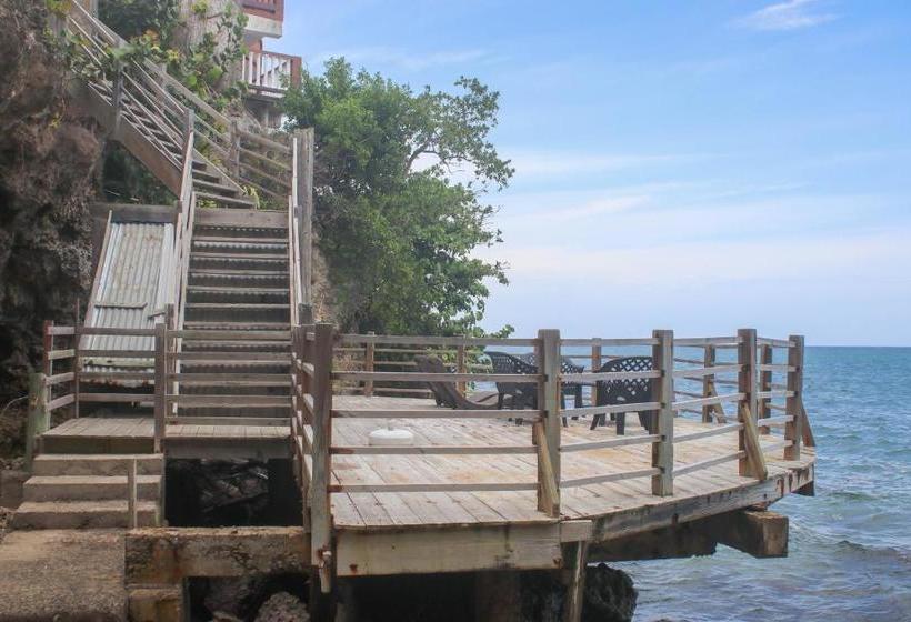 پانسیون Afibaviewbeachfrontproperty