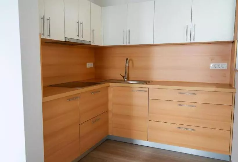 Pjagodic Apartments & Wellness