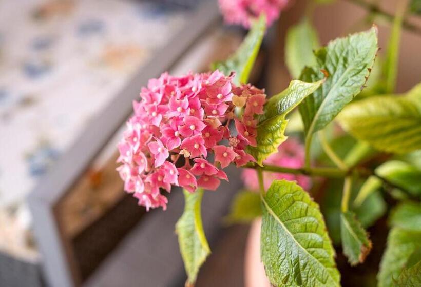 צימר Agriturismo Le Giustizie