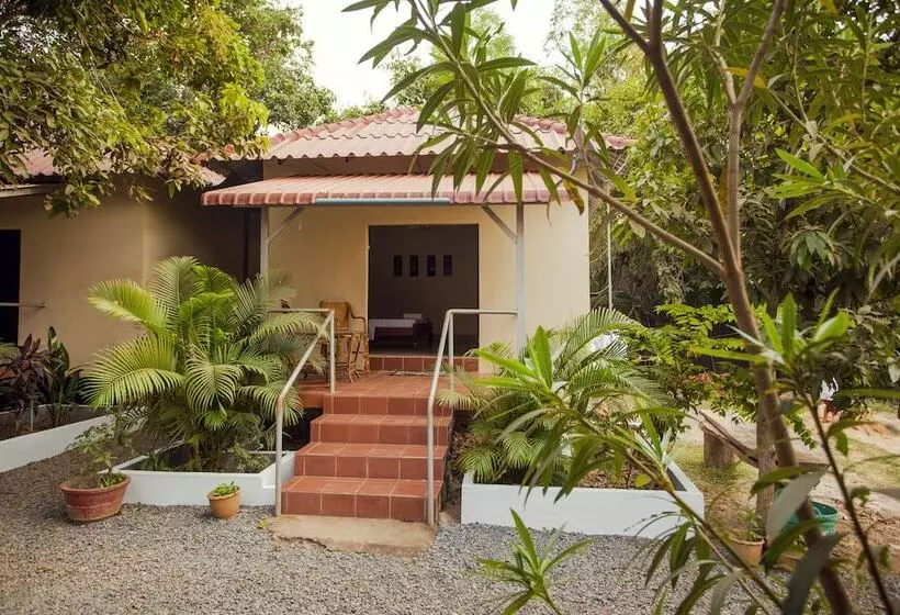هتل Green Mango Bungalows