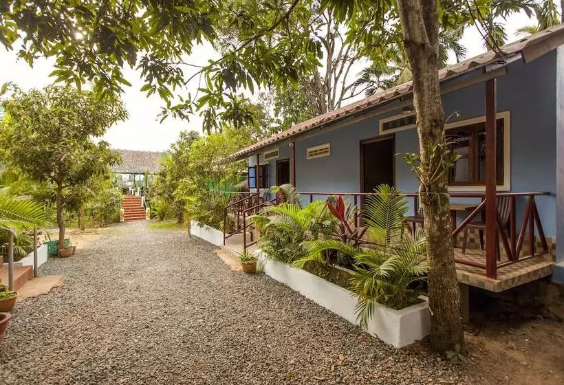 هتل Green Mango Bungalows