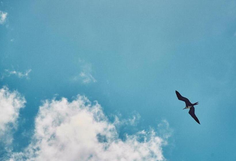 فندق Casa Altamar