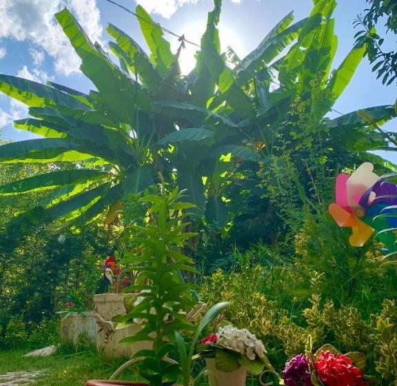 Kadifeli Konak Hotel & Bungalow