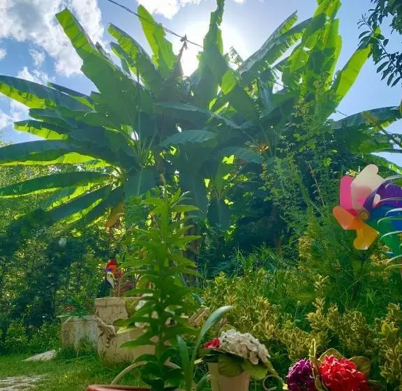 Kadifeli Konak Hotel & Bungalow