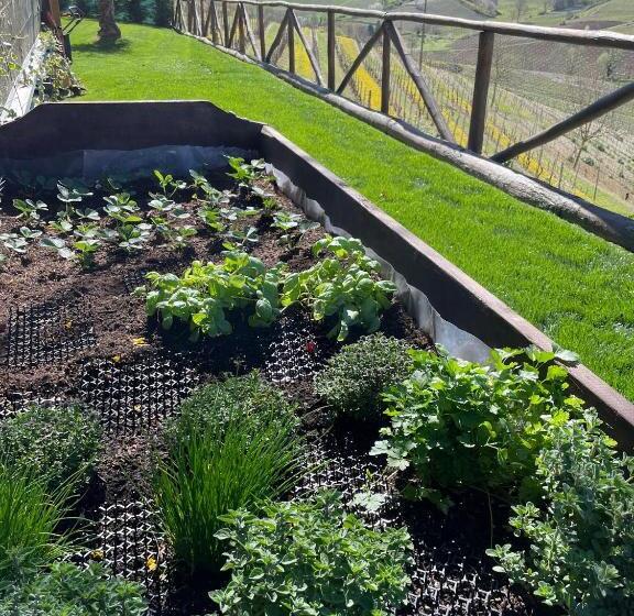 ベッドアンドブレックファースト La Casa Del Tiglio