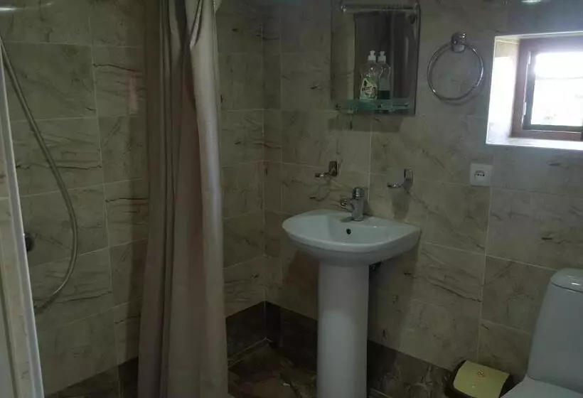 پانسیون Ronini Telavi