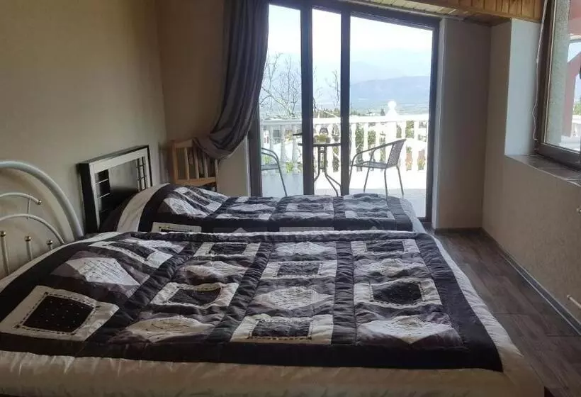 پانسیون Ronini Telavi