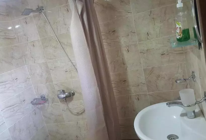 پانسیون Ronini Telavi