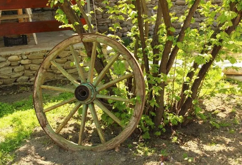 پانسیون Ronini Telavi