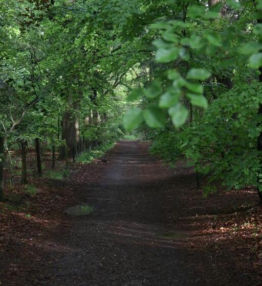 פנסיון Cavalli's Cottage