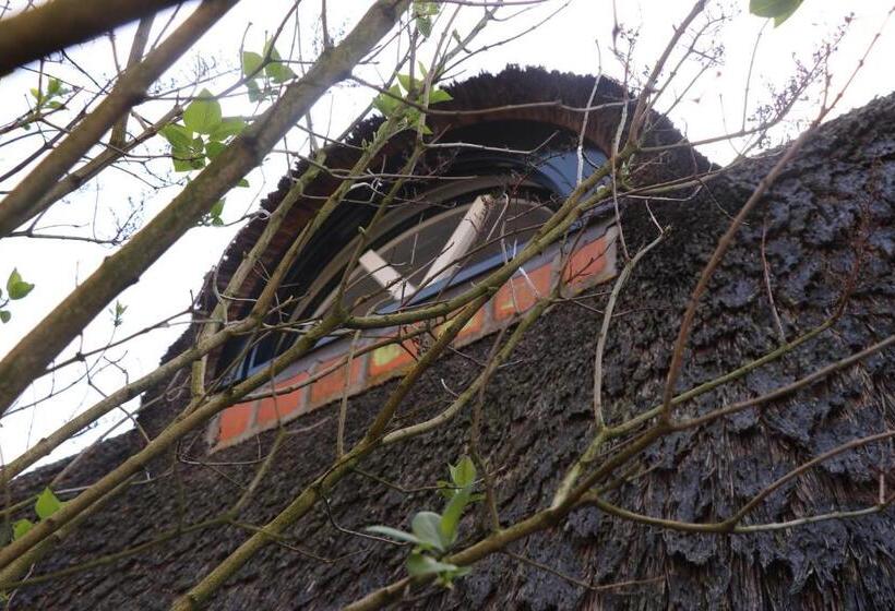 פנסיון Cavalli's Cottage