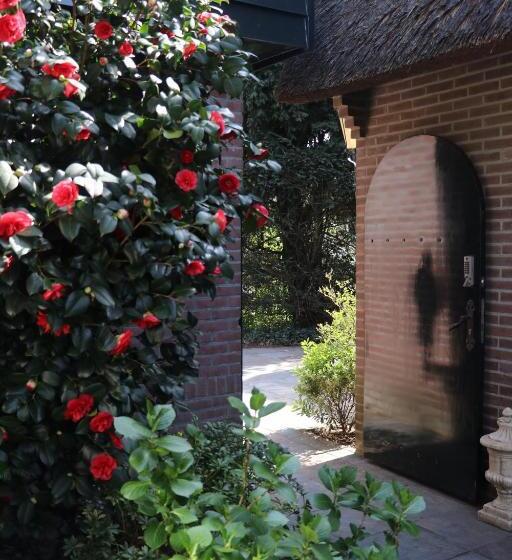 פנסיון Cavalli's Cottage