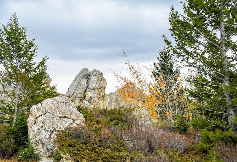 هاستل Golden Stone Inn