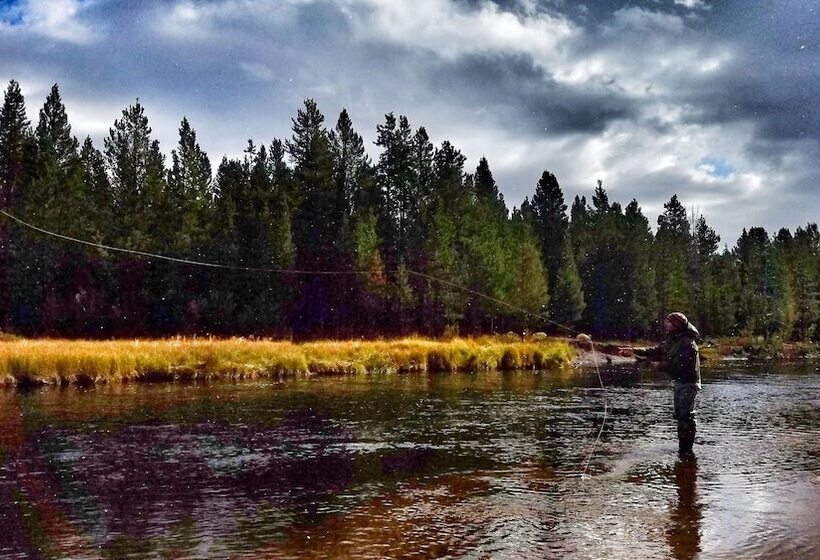 هاستل Golden Stone Inn