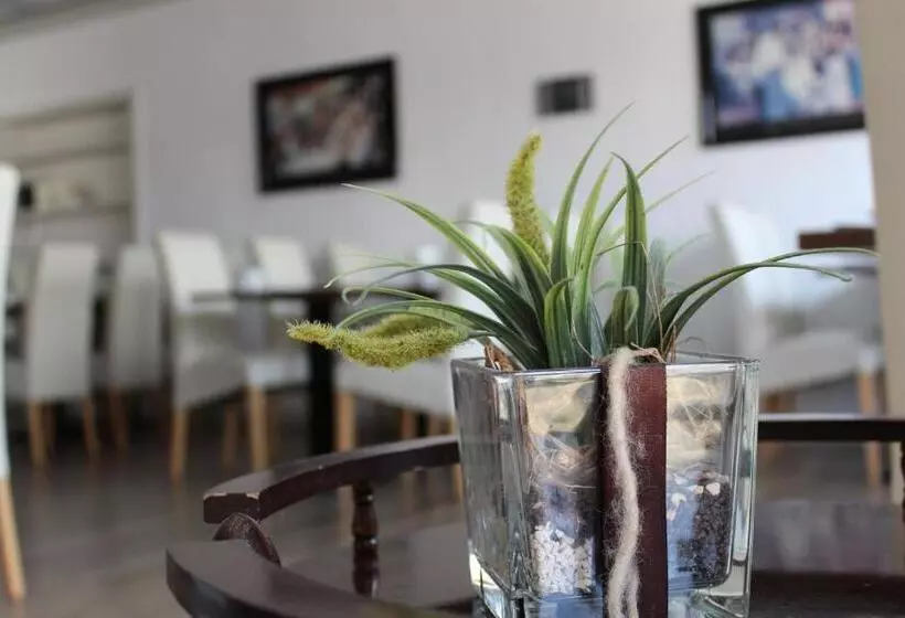 Hotelli Franziskaner Am Markt