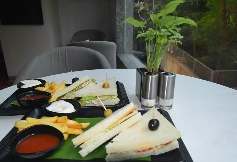 Hotelli Ginger Patna