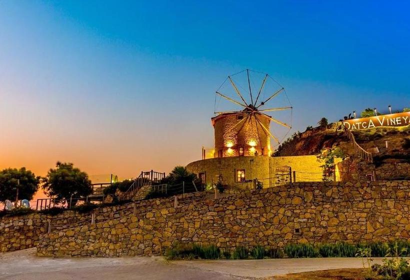 Bed and Breakfast Datça Vineyard Guesthouse