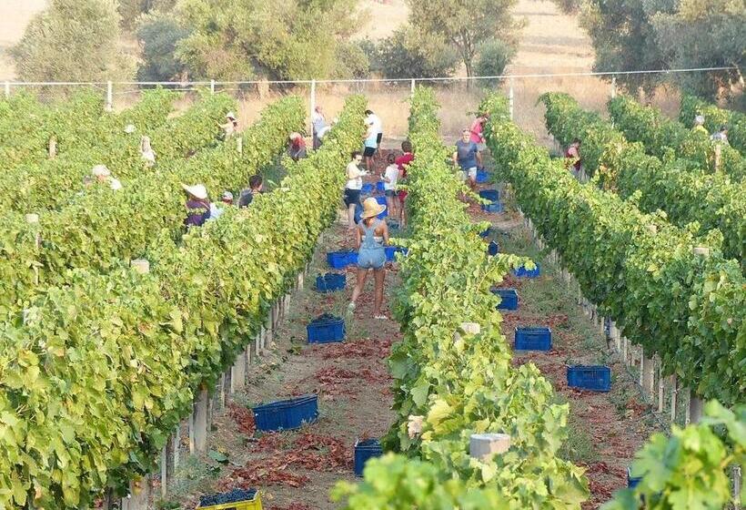 Bed and Breakfast Datça Vineyard Guesthouse