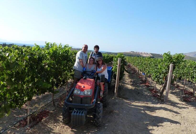 Bed and Breakfast Datça Vineyard Guesthouse