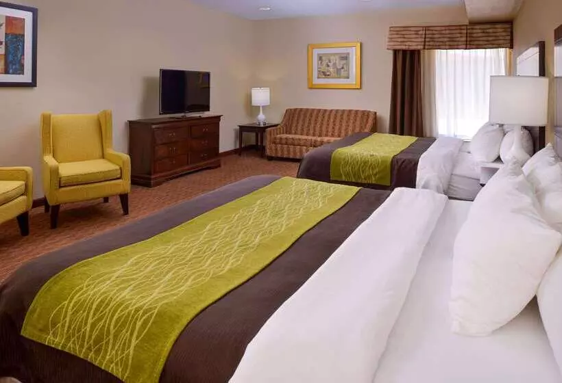 فندق Comfort Inn & Suites