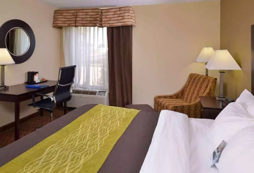 فندق Comfort Inn & Suites