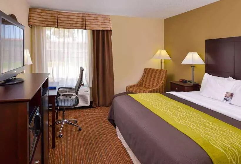 فندق Comfort Inn & Suites