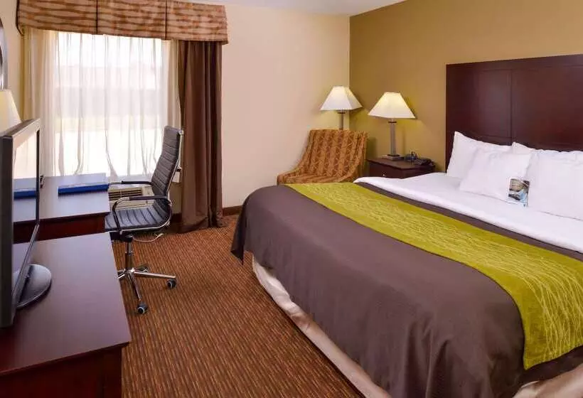 فندق Comfort Inn & Suites
