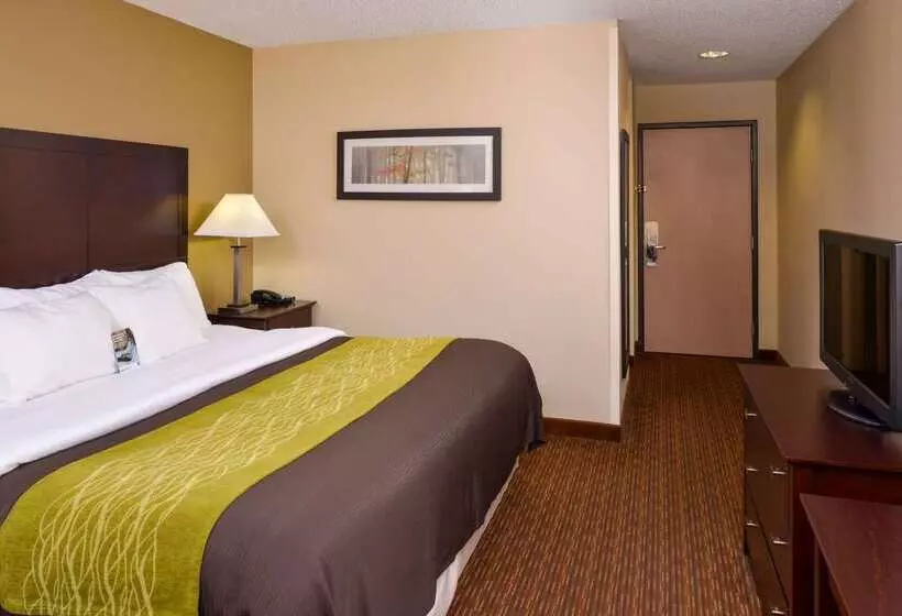 فندق Comfort Inn & Suites