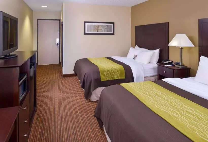 فندق Comfort Inn & Suites