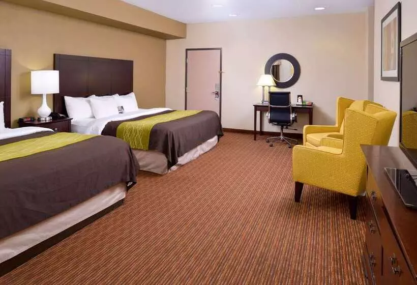 فندق Comfort Inn & Suites