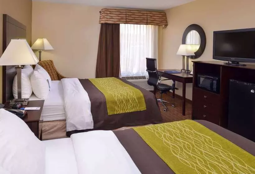 فندق Comfort Inn & Suites