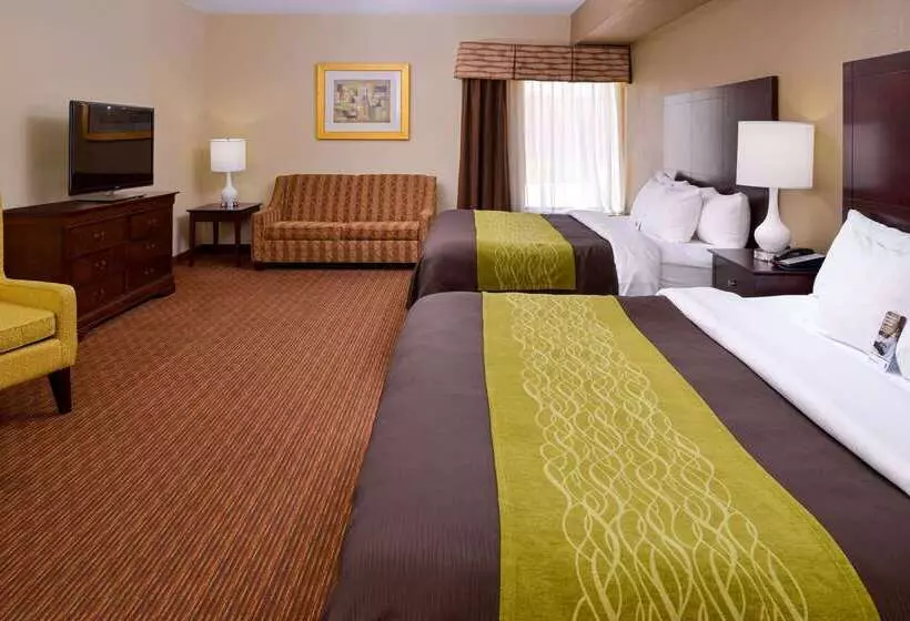 فندق Comfort Inn & Suites