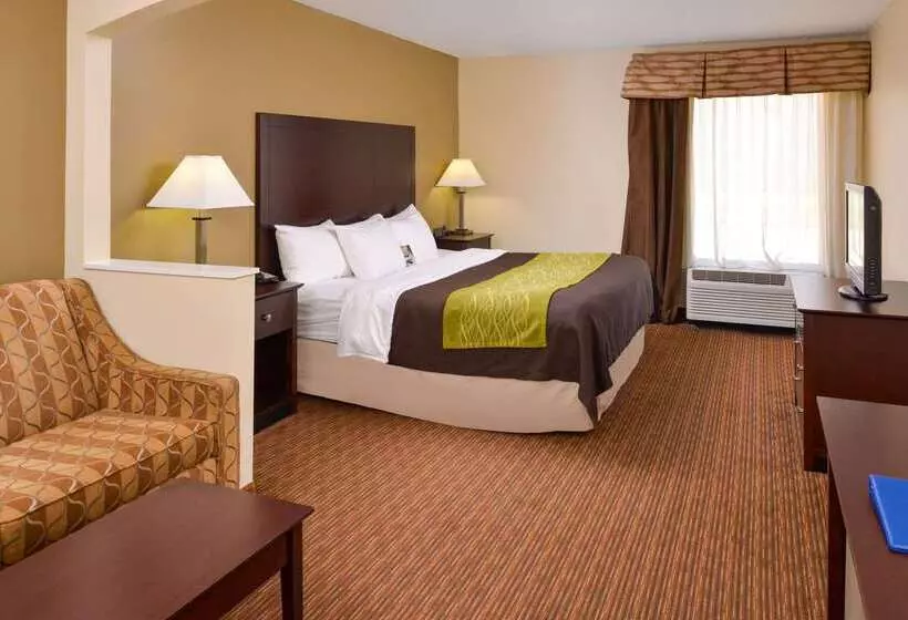 فندق Comfort Inn & Suites