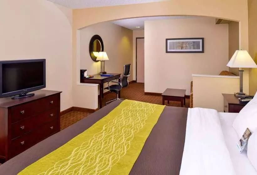 فندق Comfort Inn & Suites