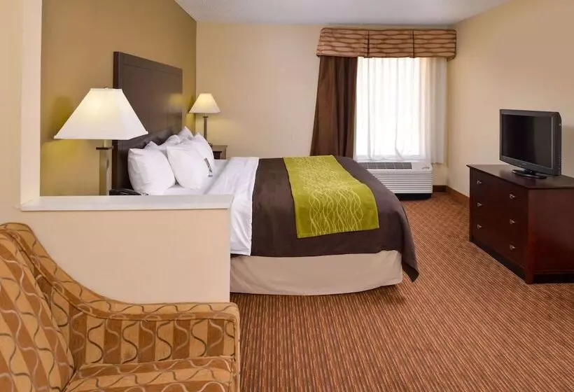 فندق Comfort Inn & Suites