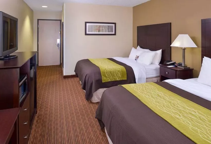 فندق Comfort Inn & Suites