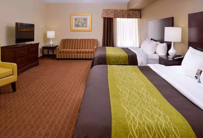 فندق Comfort Inn & Suites